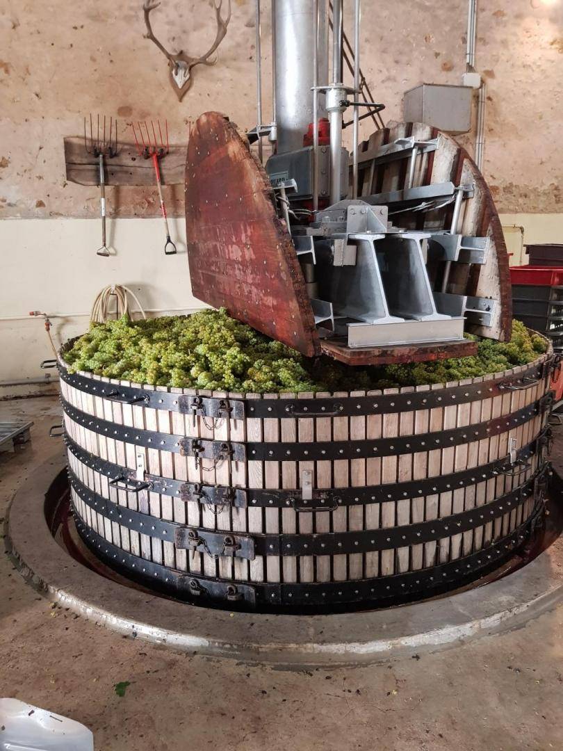 champagne de producteur